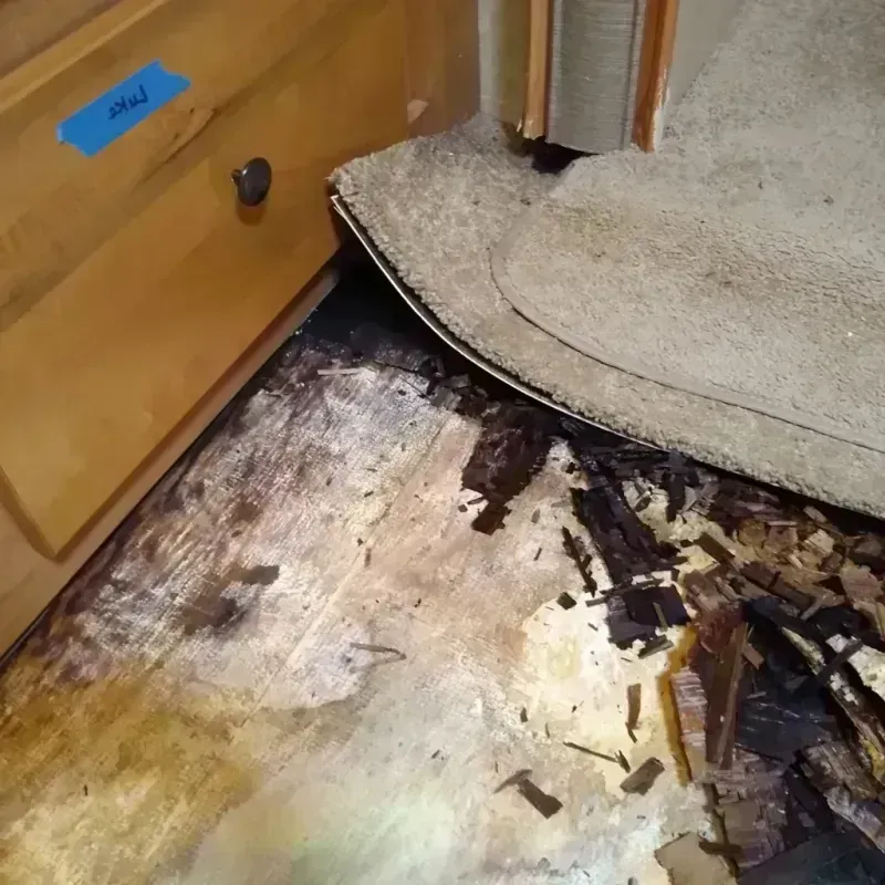 Wood Floor Water Damage in Selma, TX